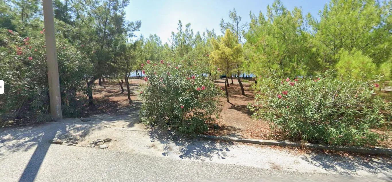 Marmaris Kazım Koyuncu Hatıra Ormanı